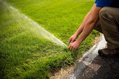 Person fixing a lawn sprinkler watering the green grass near a curb.