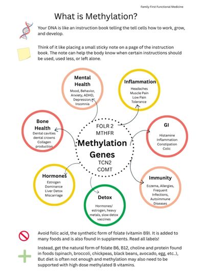 Diagram explaining DNA methylation's impact on health.