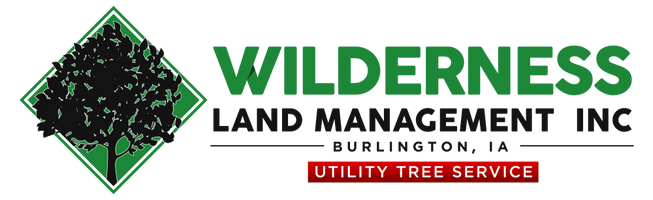 WLM Inc.