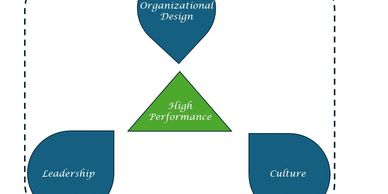 Leadership, culture, organizational design, High Performance Organization 