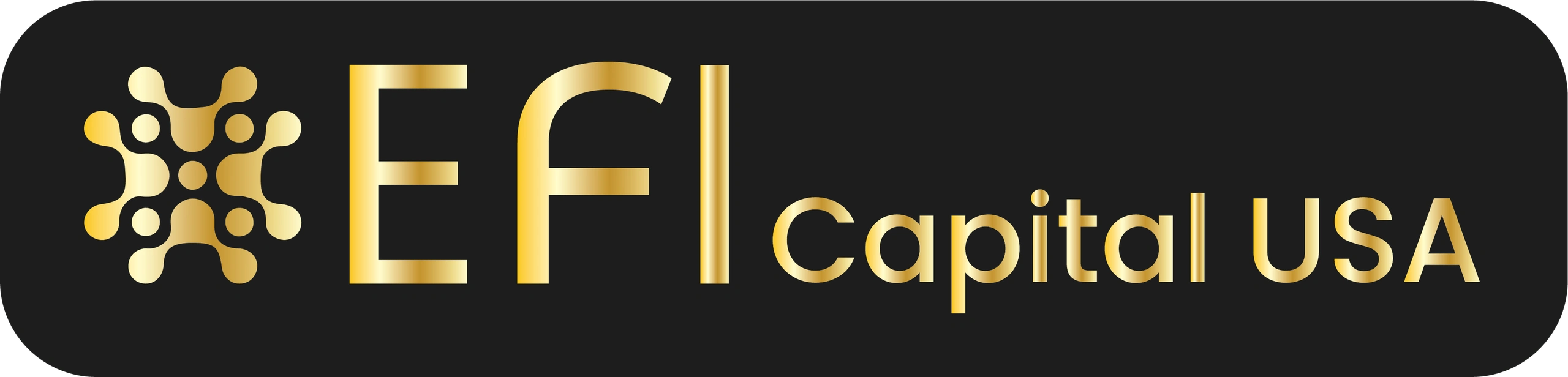 EFI Capital USA