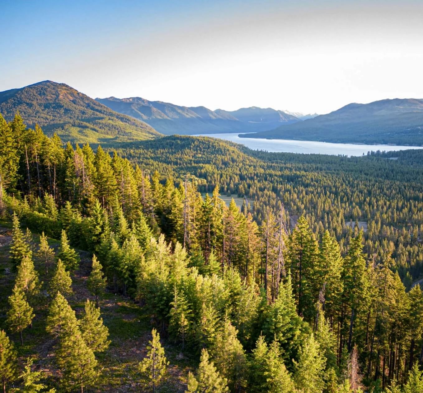 Land for Sale Suncadia Land for Sale