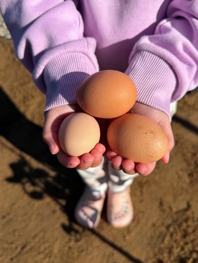 Person holding three differently sized eggs in their hands outdoors.