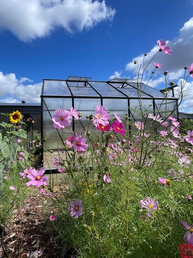 A greenhouse surrounded by colorful flowers under a blue sky.