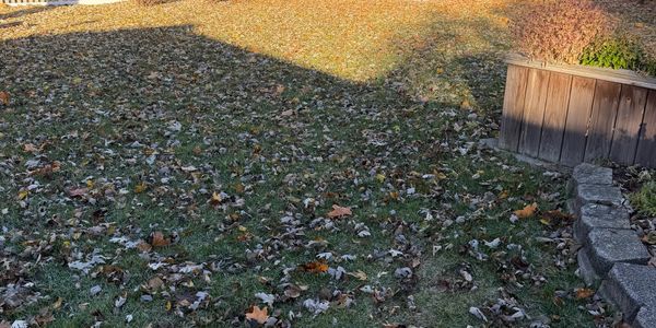A lawn covered with fallen autumn leaves under sunlight and shadow.
