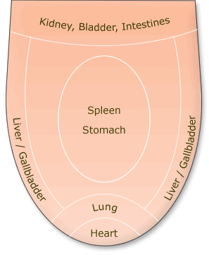 Diagram of meaning of lines on tongue