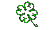 The Salty Leprechaun