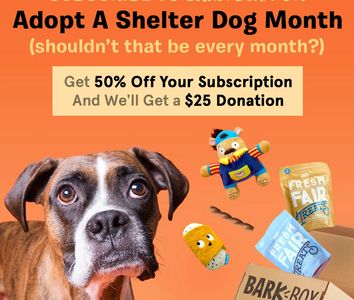 Adopt a shelter dog month promo with donation incentive.