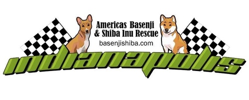 America's Basenji & Shiba Inu Rescue