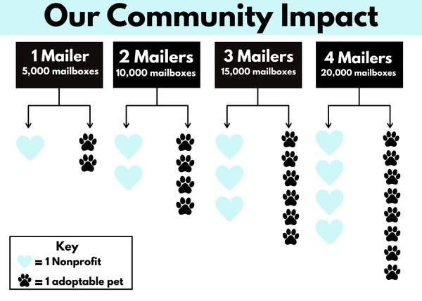 Bee Connected Community Spotlight Community Impact