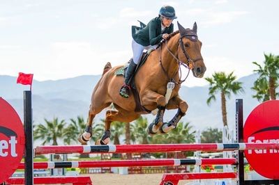 Rider and horse jump a fence on a show jumping course. 