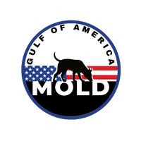 Gulf of America Mold