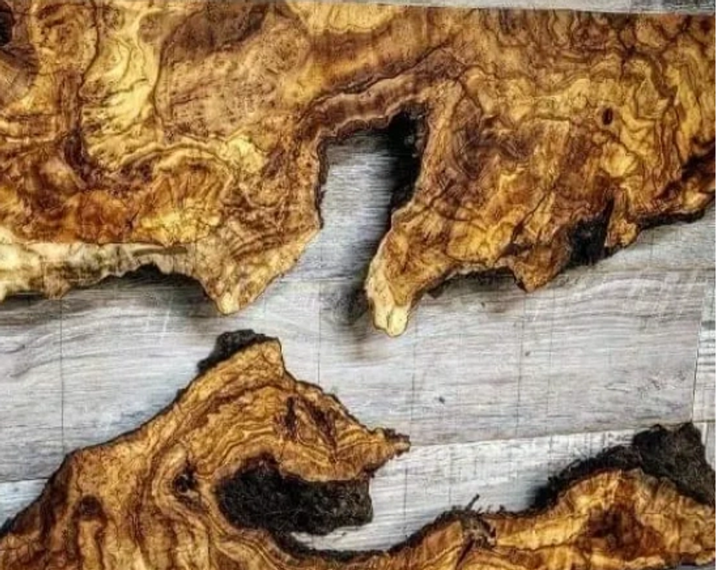 Olive Wood Burl