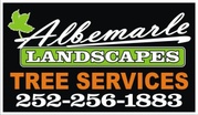 Outer Banks Arborist 