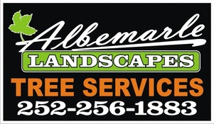 Outer Banks Arborist 