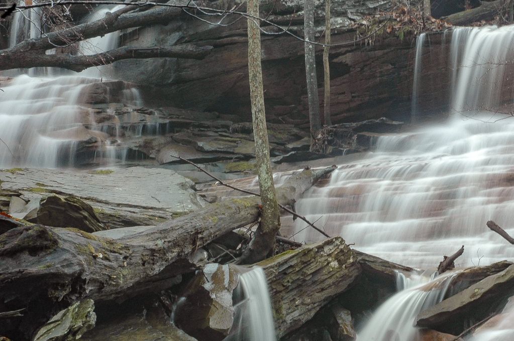 A serene multi-tiered waterfall flowing over rocks and fallen logs in a forest.