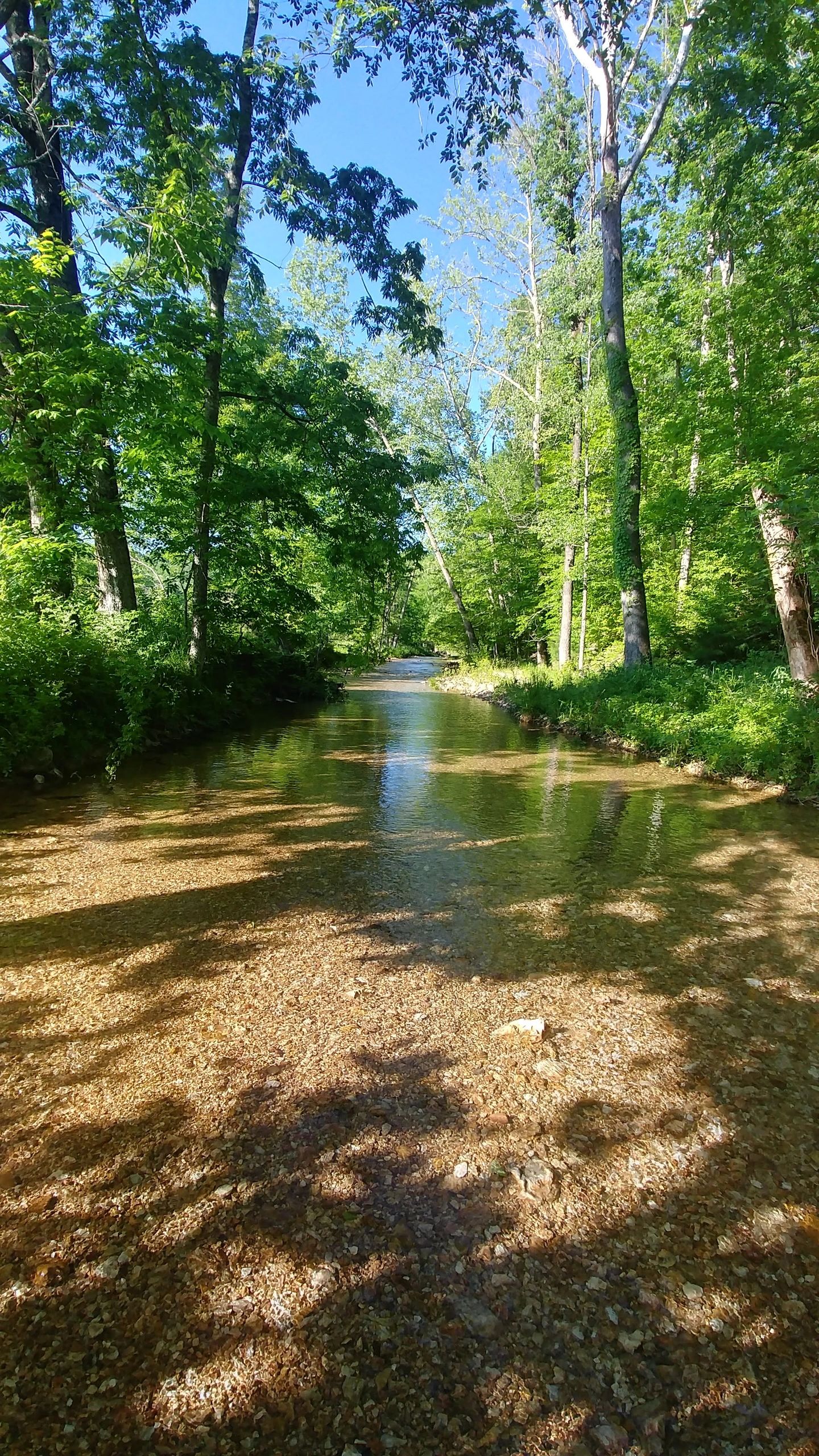 Four Creeks Ranch Campground Ellington, Missouri