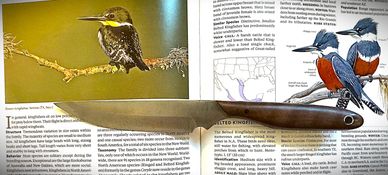 Available for Custom Order
