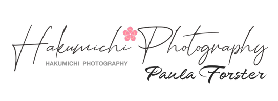 Hakumichi Photography
                 