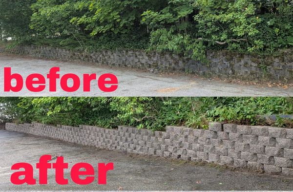 Moss-Free Paver Wall!