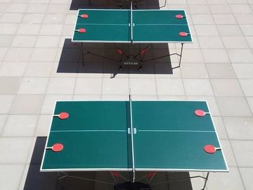 Deluxe Ping Pong Table Rental in Illinois (Chicago)