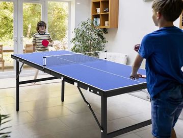 Ping Pong Table Rental - Chicago, IL