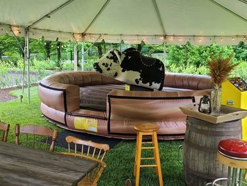 Mechanical Bull Rentals - Chicago, IL - Rent Bucking Bull