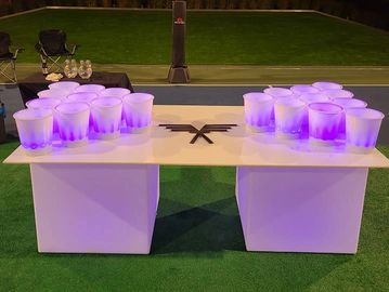 Beer Pong Table  Reventals Chicago, IL Party, Corporate, Festival & Tent  Rentals