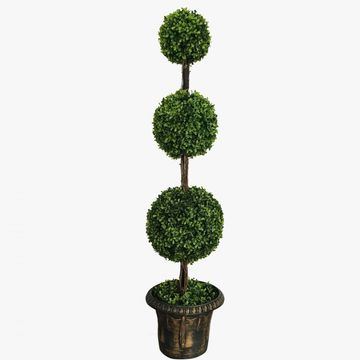 Rent boxwood topiary plants CHicago, IL