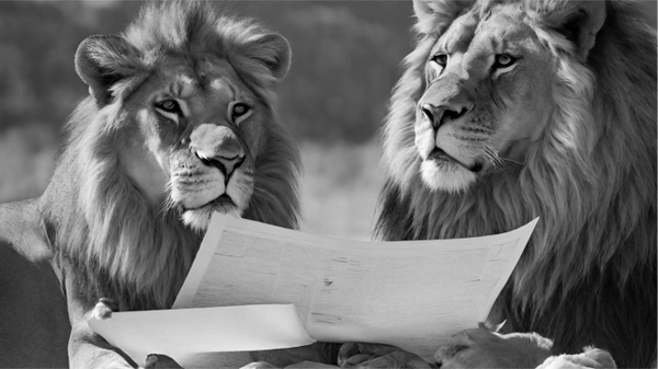 Emboldened lions reading strategy together 