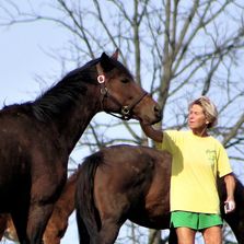 horse tours in lexington ky