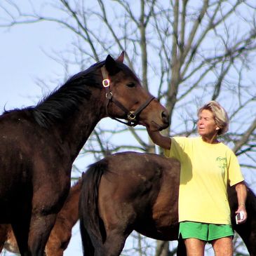 Woman petting a horse outdoors.