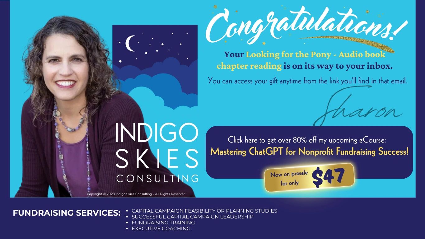 Indigo Skies Consulting congratulates on audiobook gift and offers a discounted eCourse on nonprofit fundraising.