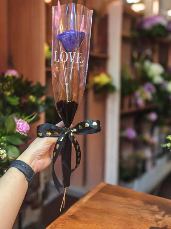 A hand holds a single purple rose wrapped in plastic with a black ribbon.
