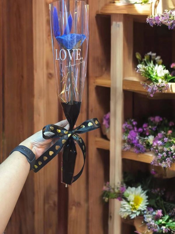 Hand holding a blue rose wrapped in plastic with a black ribbon that says LOVE.