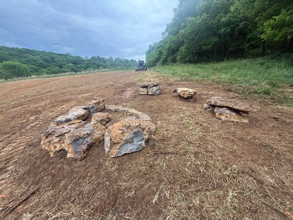 Rocks arranged in circles on a cleared field near trees.