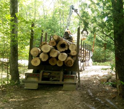A log truck being loaded with logs.