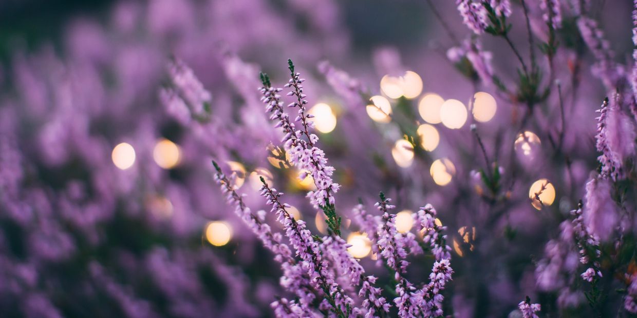 Trained counsellor
Safe and confidential
Help with trauma
Relationships
Lasting change
Lewes 
London