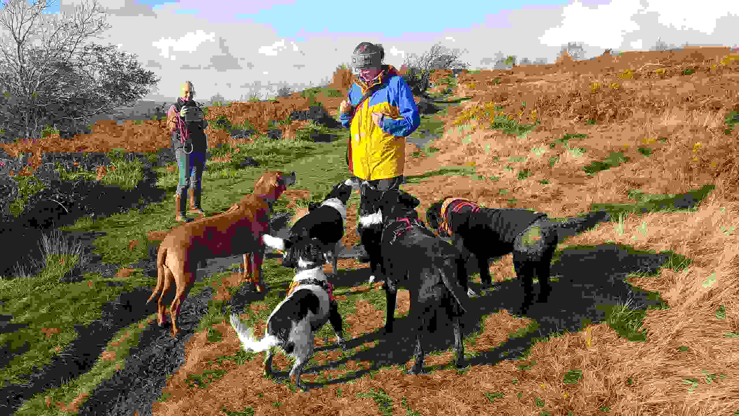 121 Dog Training Pawlig's Pet Care