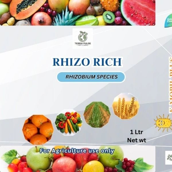 RHIZOBIUM SPECIES BIO FERTILIZER