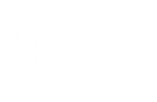 Washingtera Fest