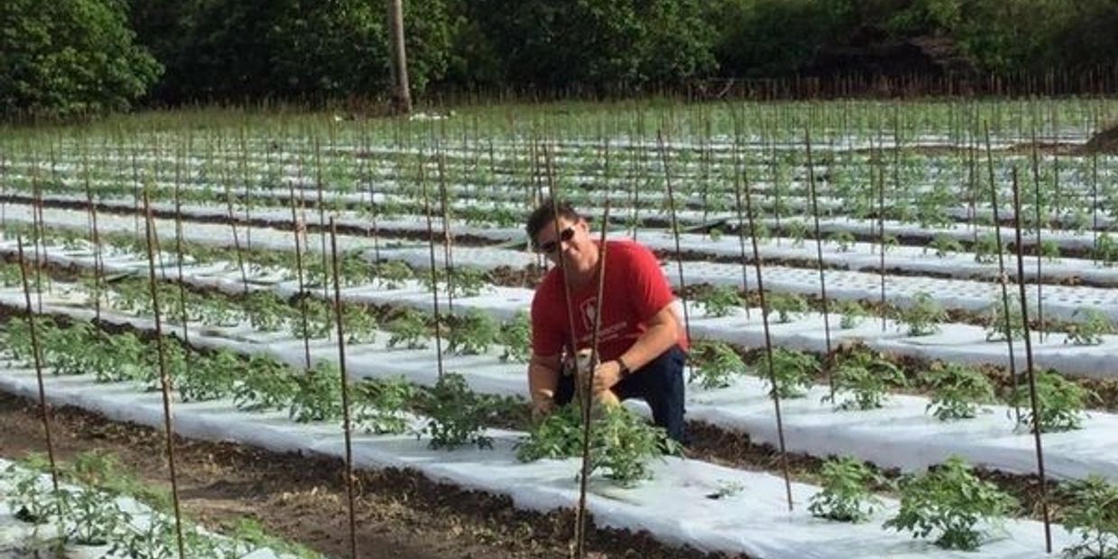 Michael Borek Farms, LLC