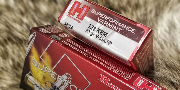 Boxes of Hornady Superformance Varmint ammunition.