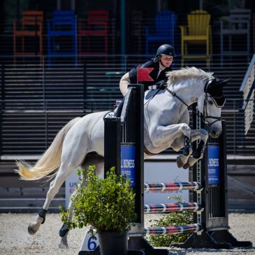 Horse and rider jumping over an obstacle in a competition.