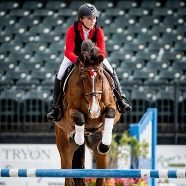 Equestrian rider jumps a horse over an obstacle.