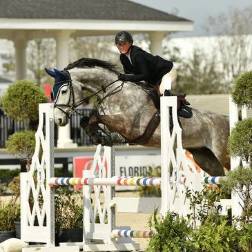 Equestrian jumping competition in action.