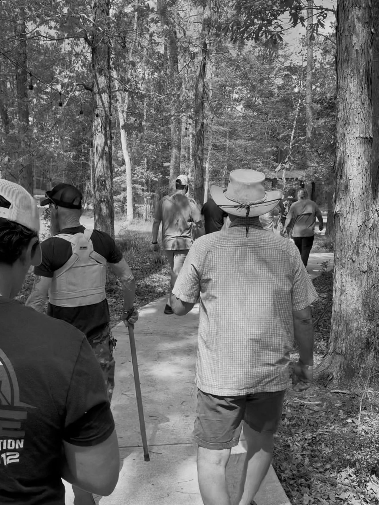 Group of people walking on a forest trail, seen from behind.