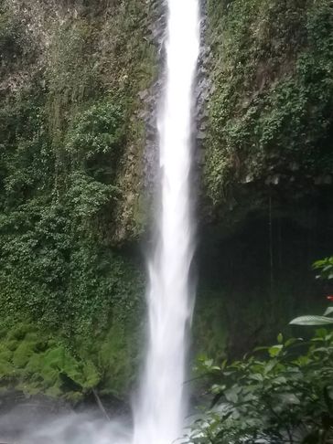 Tall waterfall cascading down a mossy, green cliff surrounded by lush vegetation.