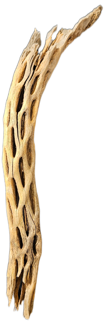 Roughly 8 inches long.