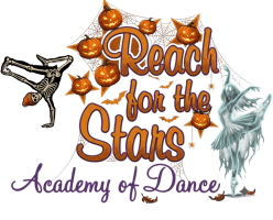 reach for the stars academy of dance llc